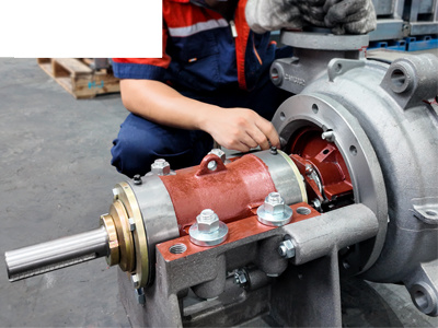 Inside CNzking Where Precision Meets Passion and Every Pump Tells a Story